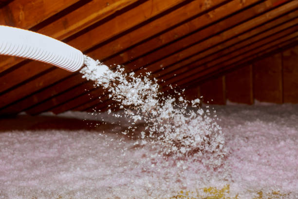 Best Blown-in Insulation in Pinewood Estates, TX