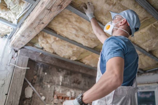 Best Eco-Friendly Insulation in Pinewood Estates, TX