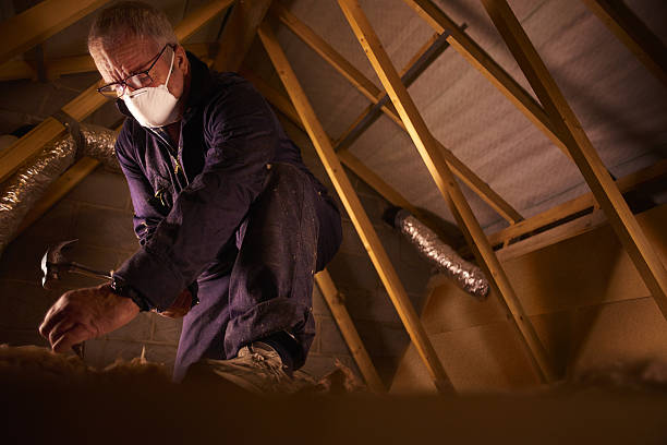 Best DIY Insulation Kits and Guidance in Pinewood Estates, TX